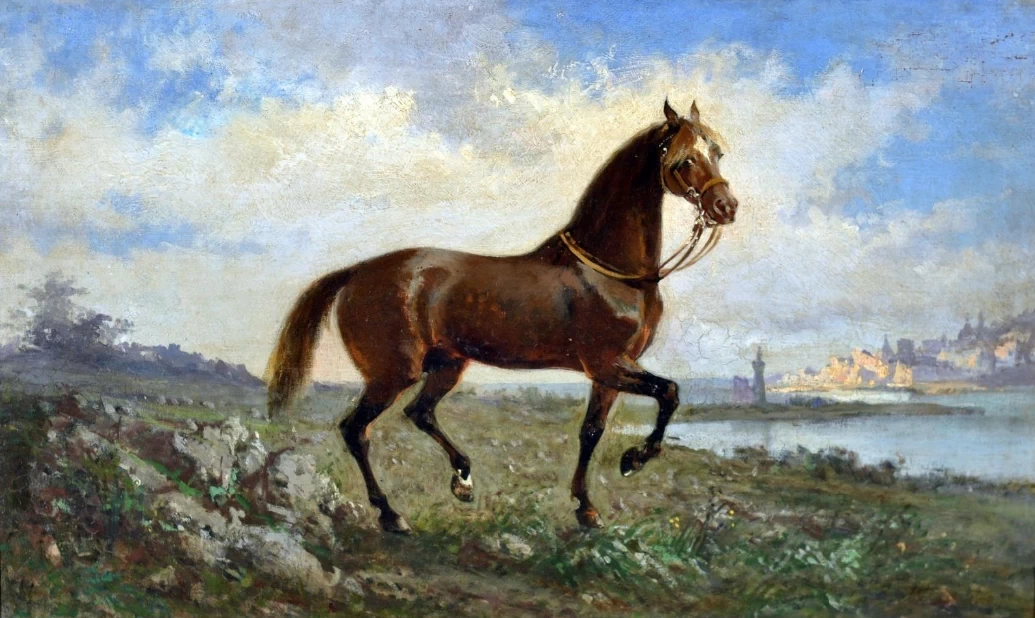 Cavallo e paesaggio